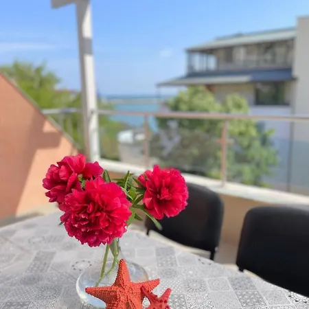 Family Morska Zvezda