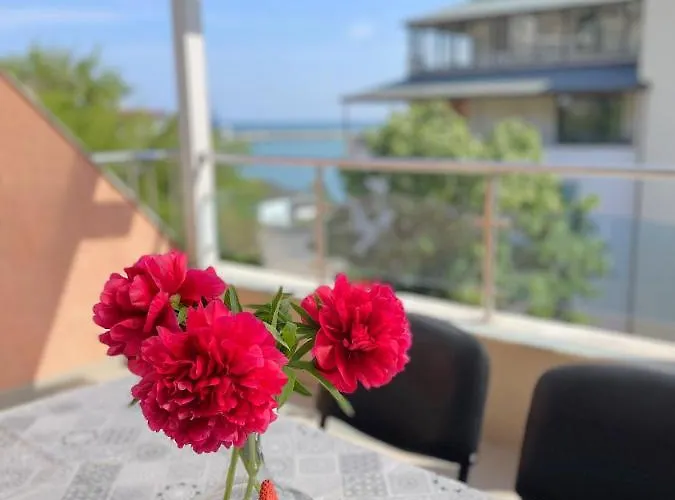 Family Morska Zvezda