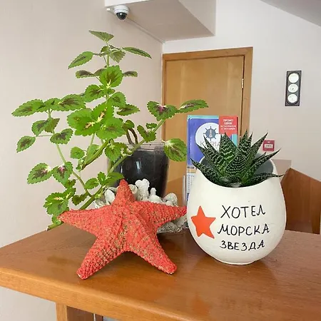 Family Morska Zvezda Hotel Balčik