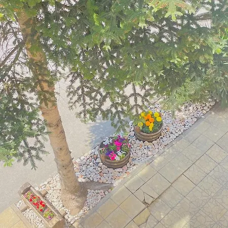 Family Morska Zvezda Ξενοδοχείο 2*