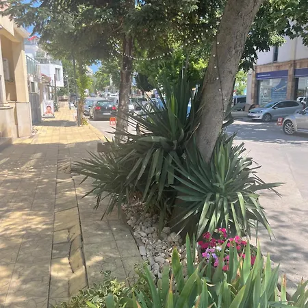 Family Morska Zvezda Μπαλτσίκ